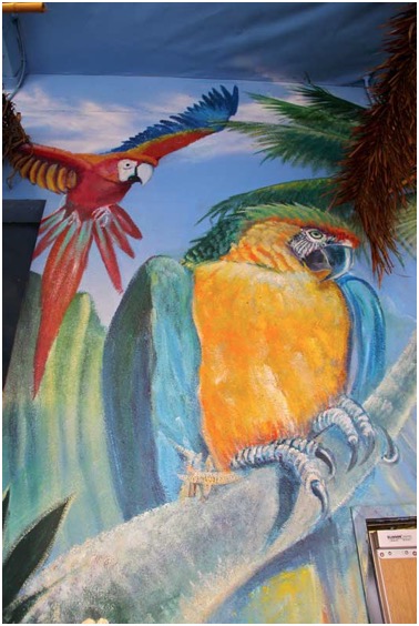 animal_bird_art_parrots_art_mural_Encinitas_San Diego