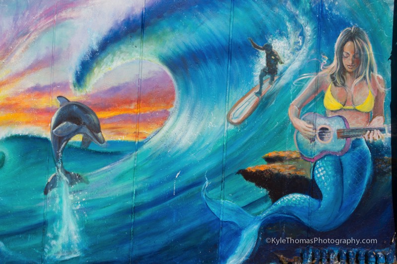 Dolphin-Ocean-Wave-Surfer-Mermaid-Mural-Painting-SanDiego-CA