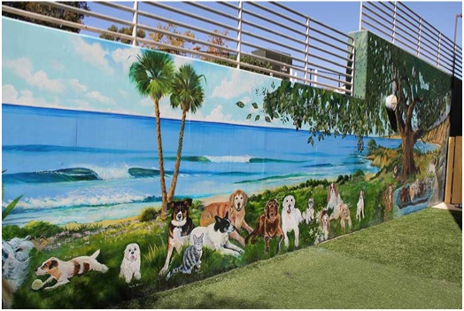 Animal Art-Dogs and Cats Art Mural at UC Davis Veterinary Specialty Hospital, San Diego, CA.<br />