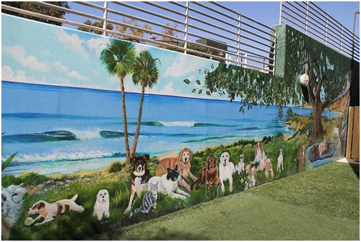 Animal Art-Dogs and Cats Art Mural at UC Davis Veterinary Specialty Hospital, San Diego, CA.<br />