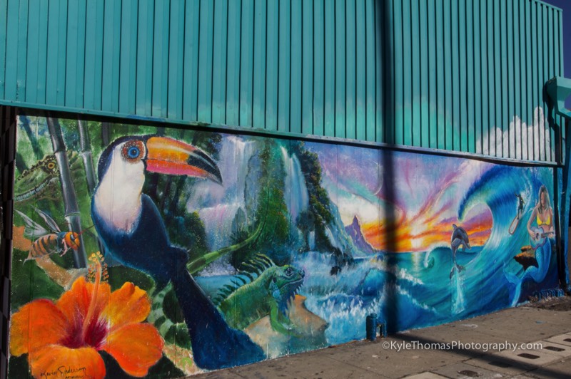 Toucan-Bird-Mural-Painting-Cardiff-SanDiego-CA